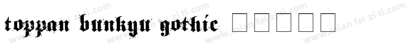 toppan bunkyu gothic字体转换